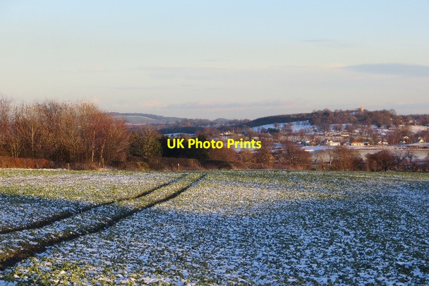 Photo 6"x4" Oilseed rape, Bonhard Bo'ness c2015