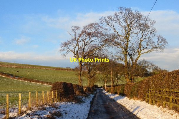 Photo 6"x4" Minor road near Linlithgow Linlithgow c2015