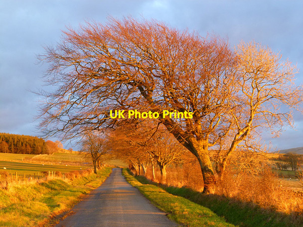 Photo 6"x4" The B5299, Boltons Aughertree c2012