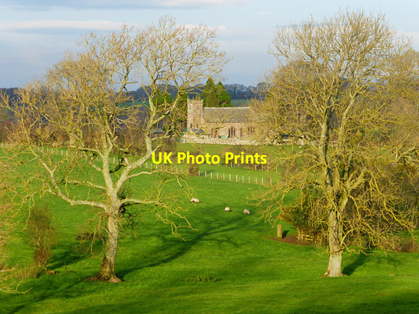 Photo 6"x4" Pasture, Sebergham Churchtown\/NY3641 c2014