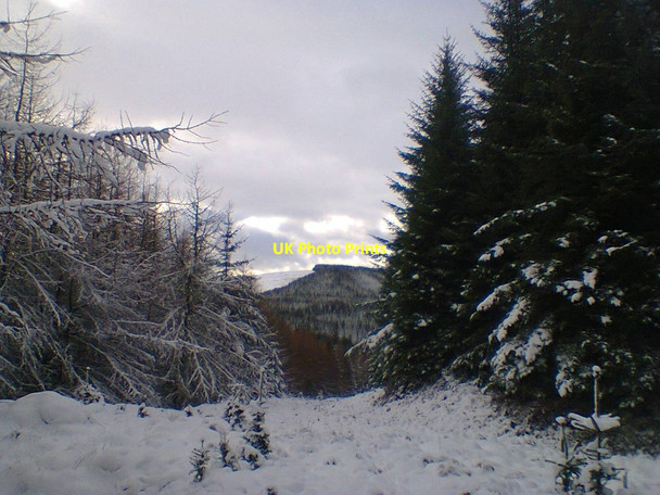 Photo 6"x4" Towards Bibblon Hill Bibblon Hill c2015