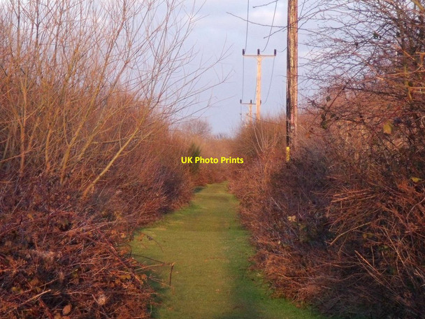 Photo 6"x4" Footpath by the railway to Willington at sunset Willington\/SK2928 c2015