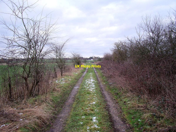 Photo 6"x4" Hargate Lane Clay Mills c2015