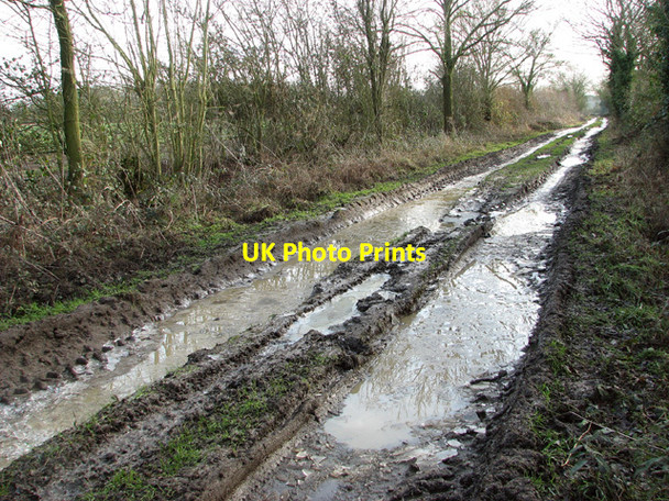 Photo 6"x4" View along Green Lane Kirstead Green c2015