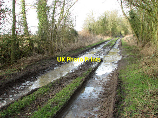 Photo 6"x4" View along Green Lane Kirstead Green c2015