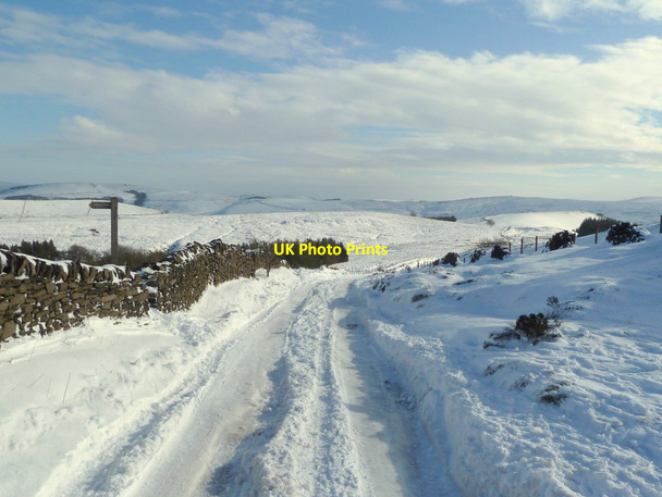 Photo 6"x4" The Street at Pym Chair Fernilee c2015