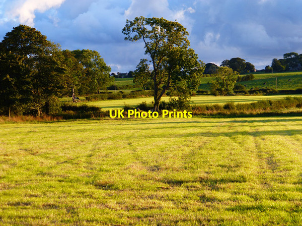 Photo 6"x4" Farmland, Skelton Skelton\/NY4335 c2014