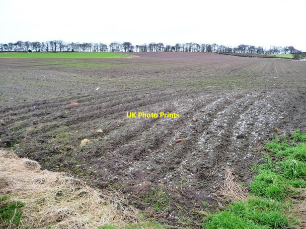 Photo 6"x4" Greening field with a patch of snow, east of Church Lane Gateforth c2015