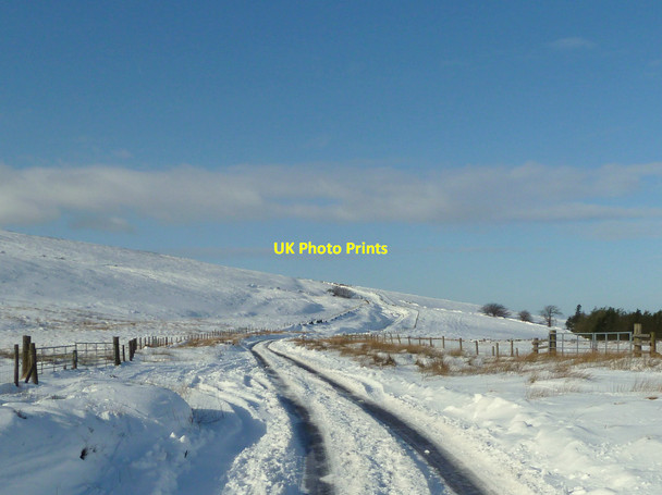 Photo 6"x4" The Street, Withinleach Moor Fernilee c2015