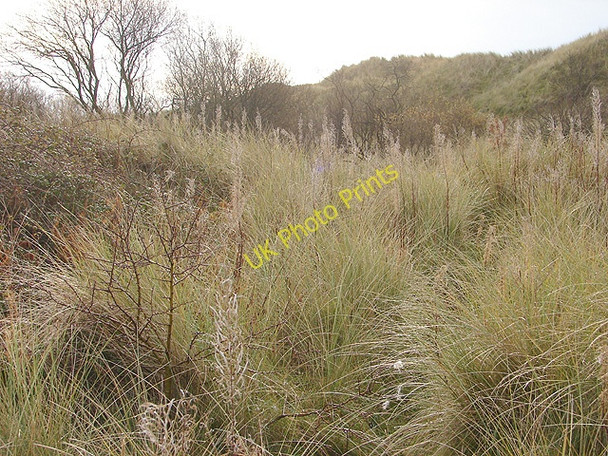Photo 6"x4" Behind the dunes at Morfa Dyffryn Llanbedr\/SH5826 c2008