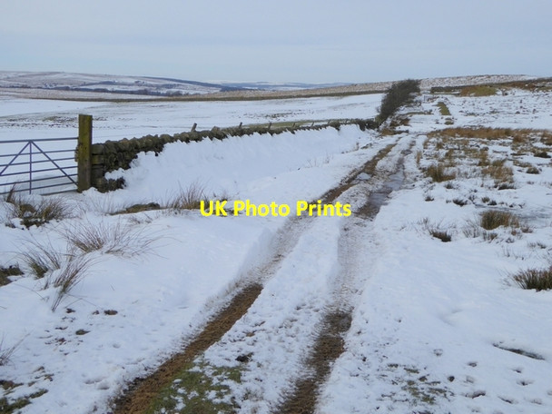 Photo 6"x4" Farm road near Low Ramshaw Rowfoot c2015 P1