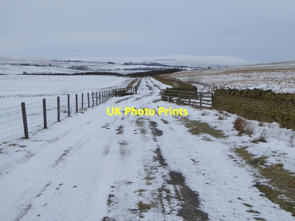 Photo 6"x4" Access road to High Todhillwood Farm Plenmeller c2015