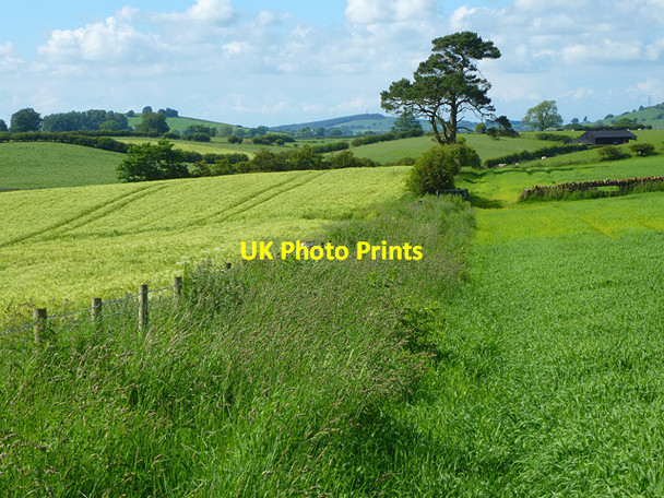 Photo 6"x4" Farmland, Hesket Plumpton\/NY4937 c2014
