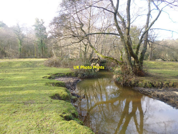 Photo 6"x4" Matley Passage Ashurst\/SU3310 c2015