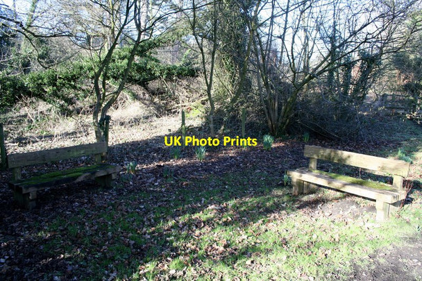Photo 6"x4" Dingly Dell Pentre Bychan c2015