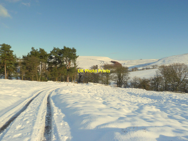 Photo 6"x4" View over to Wild Moor from footpath near Errwood Burbage\/SK0472 c2015