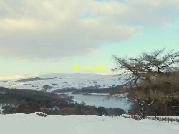 Photo 6"x4" Footpath between Shooters Clough and Errwood Reservoir Macclesfield Forest c2015