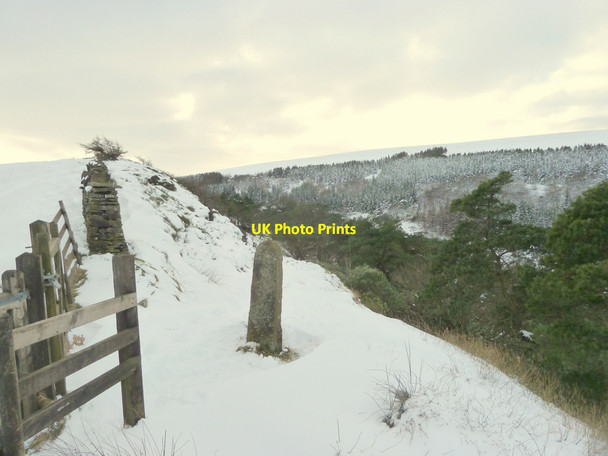 Photo 6"x4" Steep path down into Shooters Clough Macclesfield Forest c2015