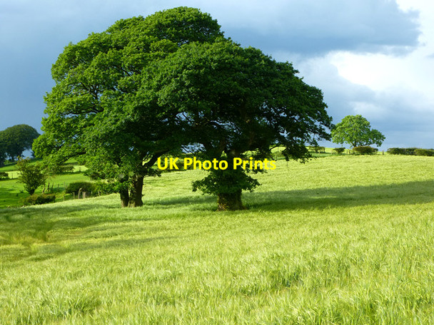 Photo 6"x4" Farmland, Castle Carrock Castle Carrock c2014