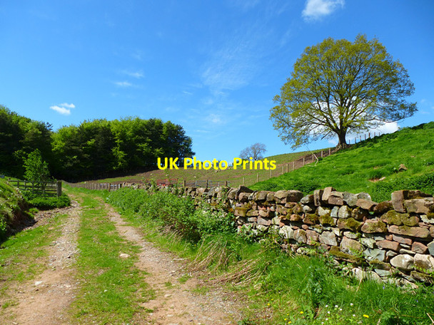 Photo 6"x4" Track, Edenhall, Langwathby Carleton\/NY5329 c2013