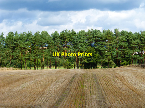 Photo 6"x4" Farmland, Edenhall, Langwathby Langwathby c2014
