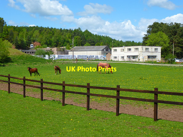 Photo 6"x4" Pasture, Edenhall, Langwathby Edenhall c2013