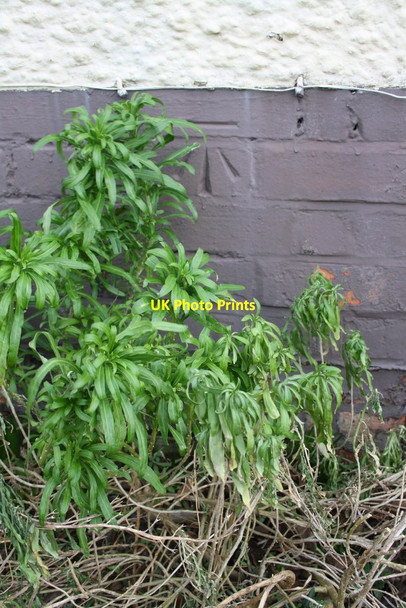 Photo 6"x4" Benchmark on #4 Drayton View Drayton St Leonard c2015