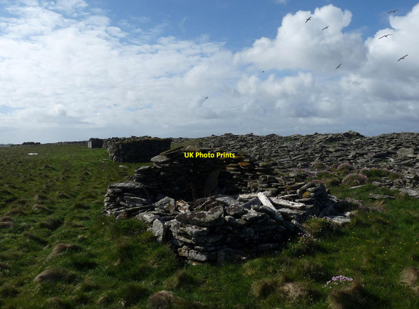 Photo 6"x4" Planticrubs, Holms of Ire, Sanday, Orkney Burness\/HY6644 c2013