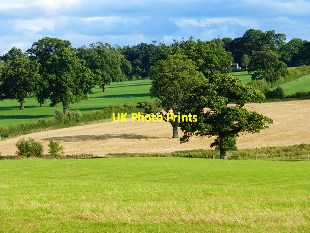 Photo 6"x4" Farmland, Cliburn Cliburn c2014