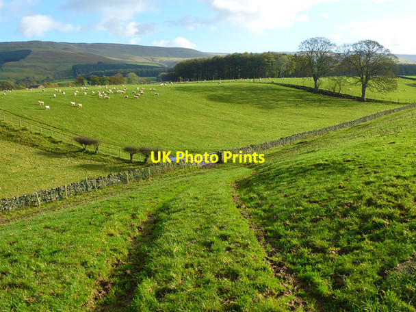 Photo 6"x4" Pasture, Melmerby, Ousby Melmerby\/NY6137 c2013
