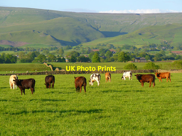Photo 6"x4" Pasture, Skirwith, Culgaith Crewgarth c2012