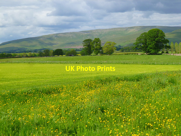 Photo 6"x4" Farmland, Culgaith Skirwith c2012