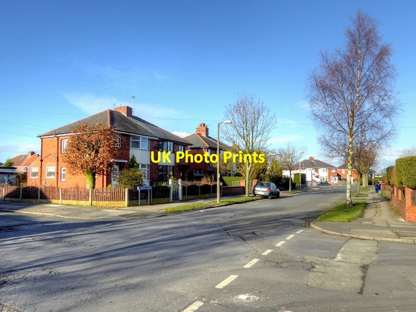 Photo 6"x4" Higher Penwortham, Blundell Lane Preston\/SD5329 c2015