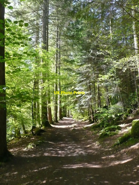 Photo 6"x4" Heading for the Hermitage Inver\/NO0142 c2009