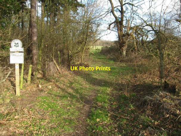 Photo 6"x4" Footpath passing The Menagerie Wood High Green\/SO8745 c2015