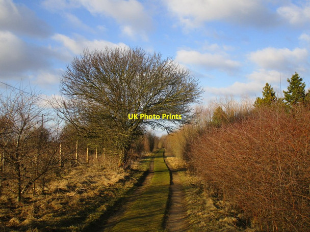 Photo 6"x4" Path by the railway Torworth c2015