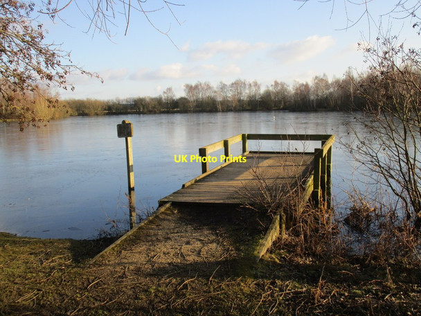 Photo 6"x4" Viewing platform, Daneshill Lake Torworth c2015
