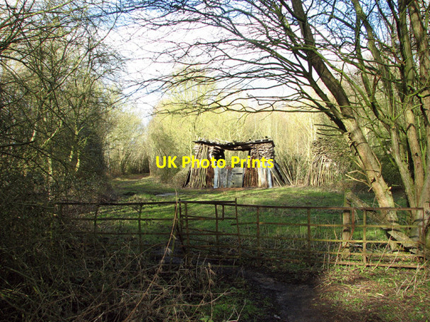 Photo 6"x4" Permissive path in Hethel Wood Hethel c2015