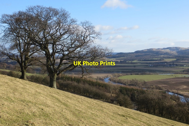 Photo 6"x4" Above Cairnie Braes Clathy c2015
