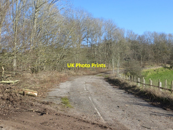 Photo 6"x4" Foot of Cairnie Braes Clathy c2015