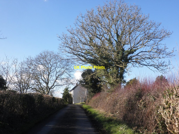 Photo 6"x4" Staundle Lane Curry Mallet c2015