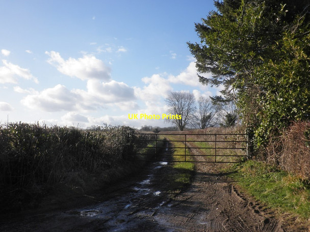 Photo 6"x4" Farm track, west of Fieldgate Lane Curry Mallet c2015
