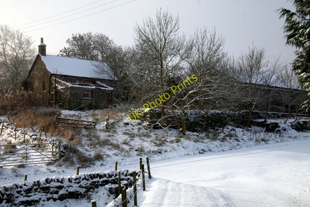 Photo 6"x4" Derelict cottage near  Mains of Rochelhill Charleston\/NO3845 c2008