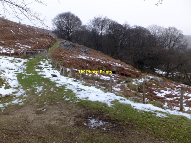 Photo 6"x4" Craig-yr-Hafod Tramroad Blaenavon c2015