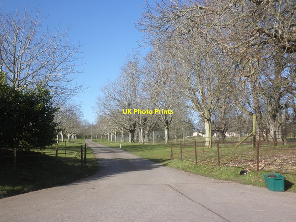 Photo 6"x4" Entrance drive, Hatch Court Park Hatch Beauchamp c2015