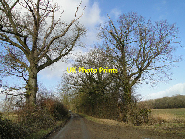 Photo 6"x4" Green Lane, Redenhall Harleston\/TM2483 c2015