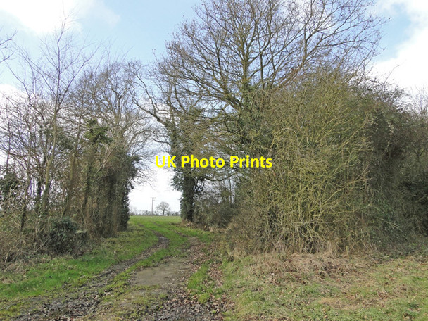 Photo 6"x4" Footpath near Manor Farm Cottages Darrow Green c2015