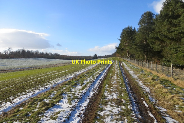 Photo 6"x4" Backhill Park Aberdalgie c2015