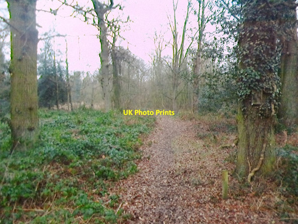Photo 6"x4" Westwood Heath, footpath Gibbet Hill\/SP3074 c2015