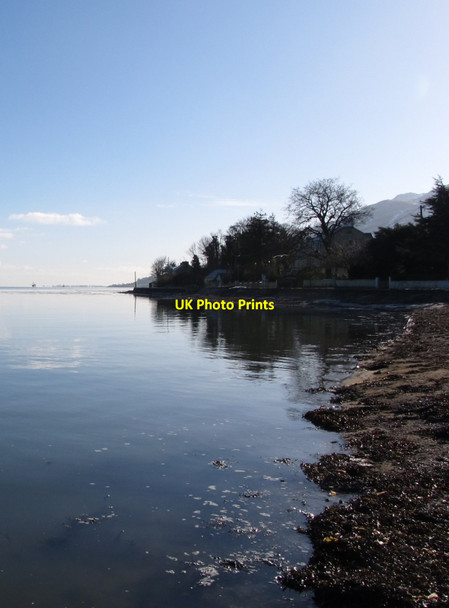 Photo 6"x4" View ESE along the Omeath foreshore of Carlingford Lough Omeath c2015